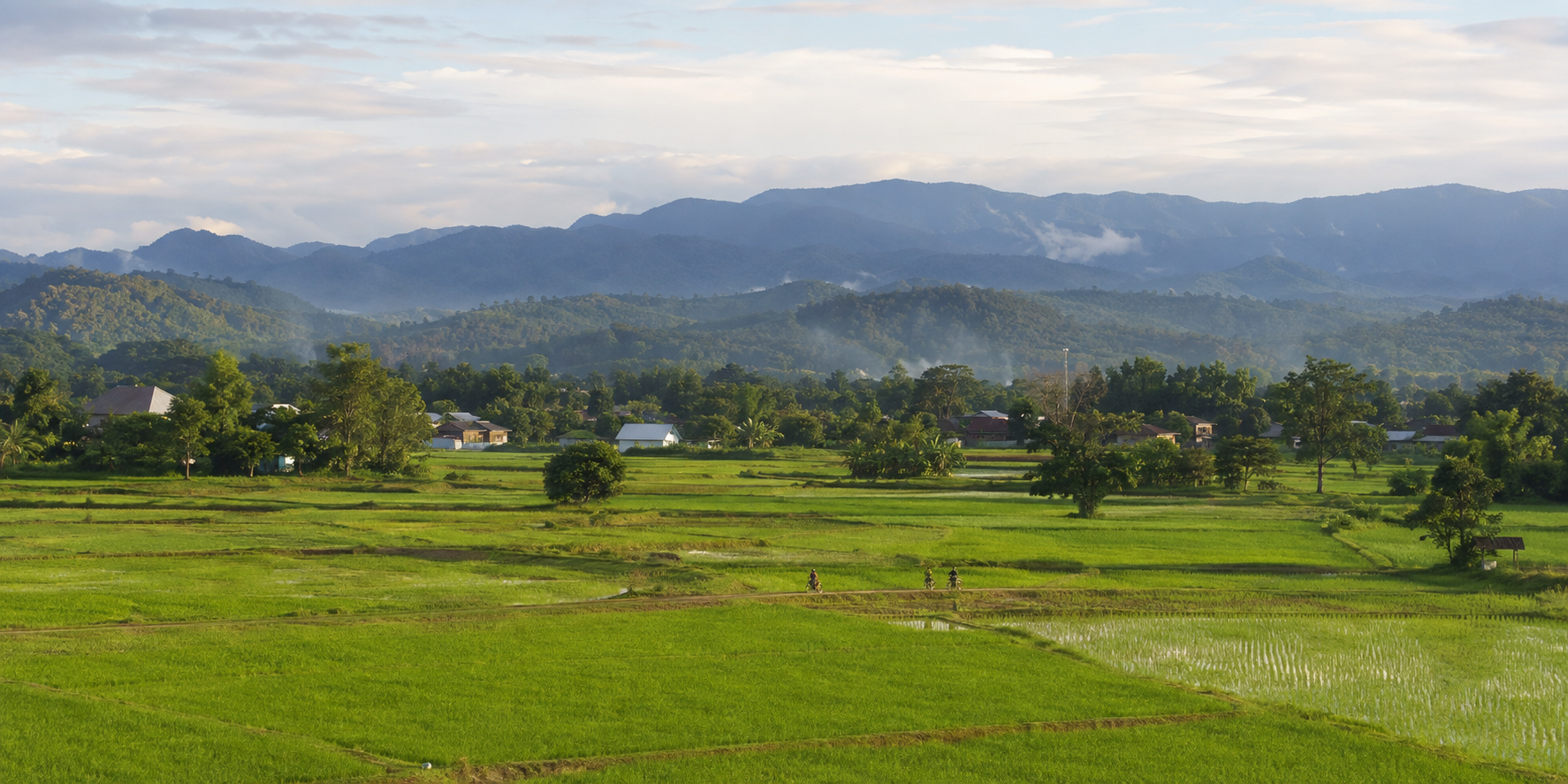 Rice fields and mountains surrounding San Kamphaeng, Chiang Mai